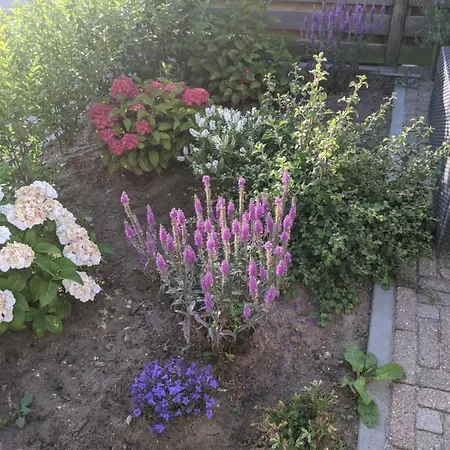 Guest house Logies21 Texel Oosterend (Texel)
